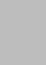 Load image into Gallery viewer, ROCKY GREY