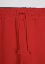 Load image into Gallery viewer, LAVA RED