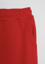 Load image into Gallery viewer, LAVA RED